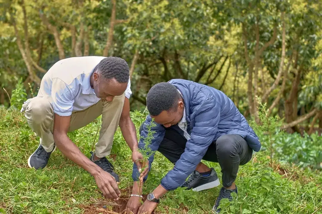 Mazingira Day Tree Planting & Seedball Throw at Kiangengi Comprehensive School
