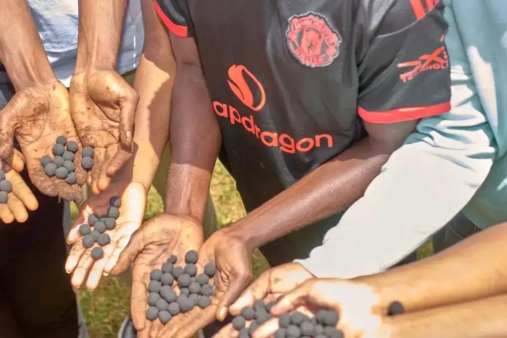 Mazingira Day Tree Planting & Seedball Throw at Kiangengi Comprehensive School