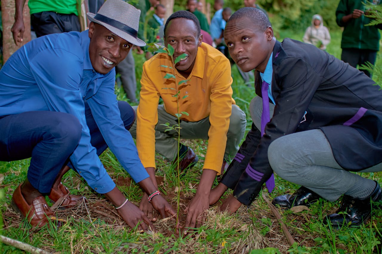 TTF EcoAction